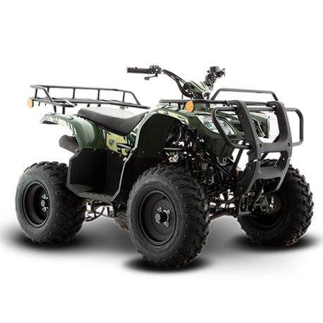 Cuatrimoto ATV180 verde / negro Italika